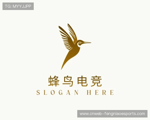 关于蜂鸟电竞中心